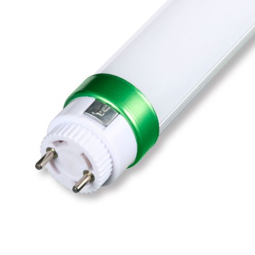 LED T8 Tube 